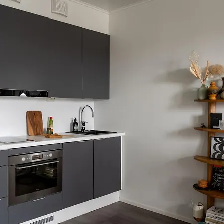 Viihtyisae Yksioe, Parkkipaikka, Ilmastointi, Wifi, Aino Areena 300m