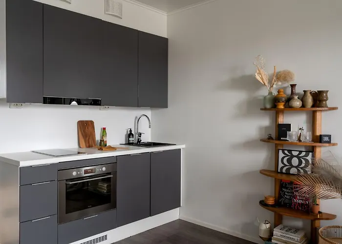 Viihtyisae Yksioe, Parkkipaikka, Ilmastointi, Wifi, Aino Areena 300m